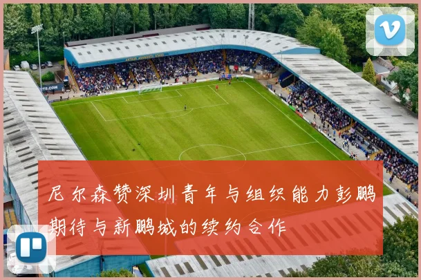 尼尔森赞深圳青年与组织能力彭鹏期待与新鹏城的续约合作